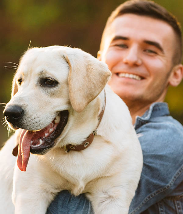 pet cremation queen creek
