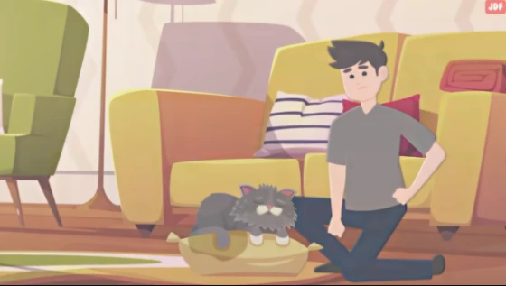 Cat dies at home what to do