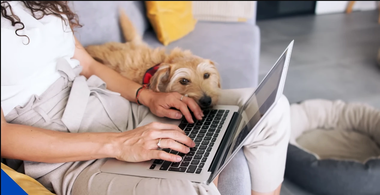 pet insurance cost in arizona