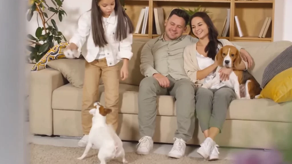 Pet insurance coverage